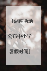 湖南两地公布中小学暑假时间